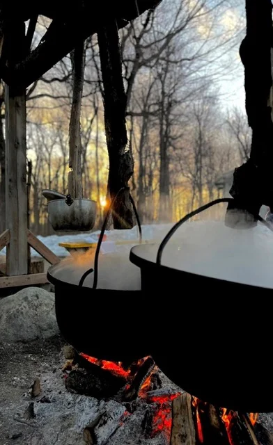Marmites suspendues au-dessus d’un feu dans une forêt québécoise