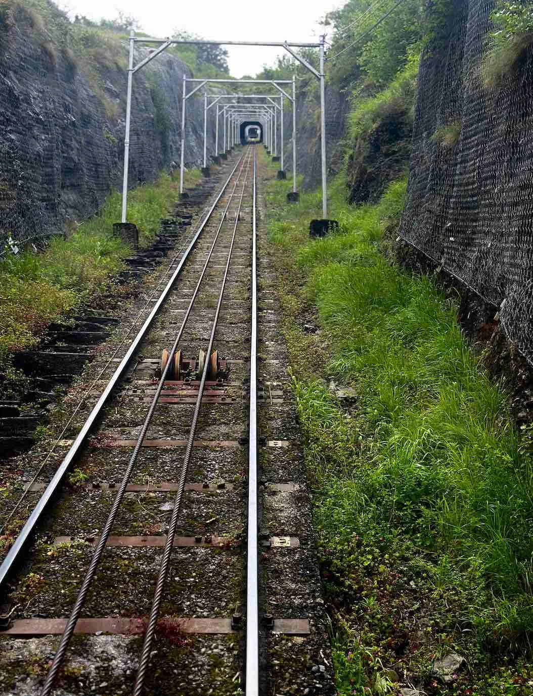 Rails du funiculaire du Pic du Jer traversant la végétation à Lourdes