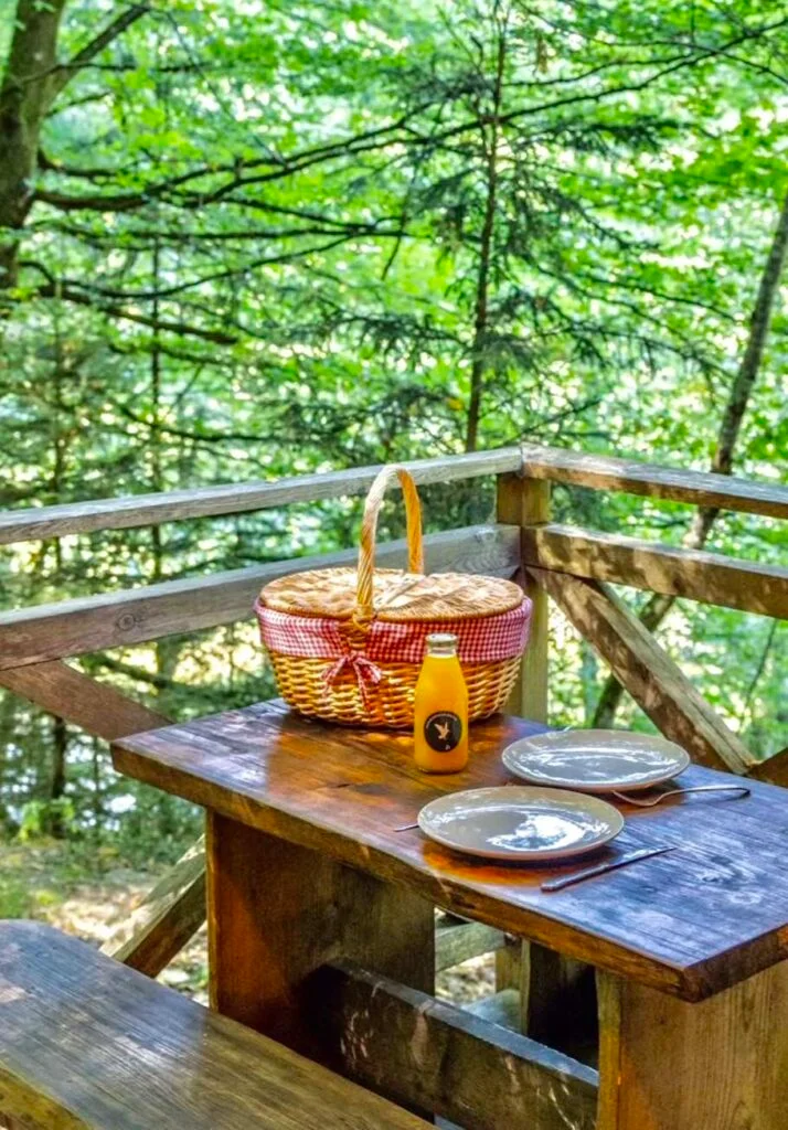 Panier-repas posé sur une table en bois au milieu de la forêt