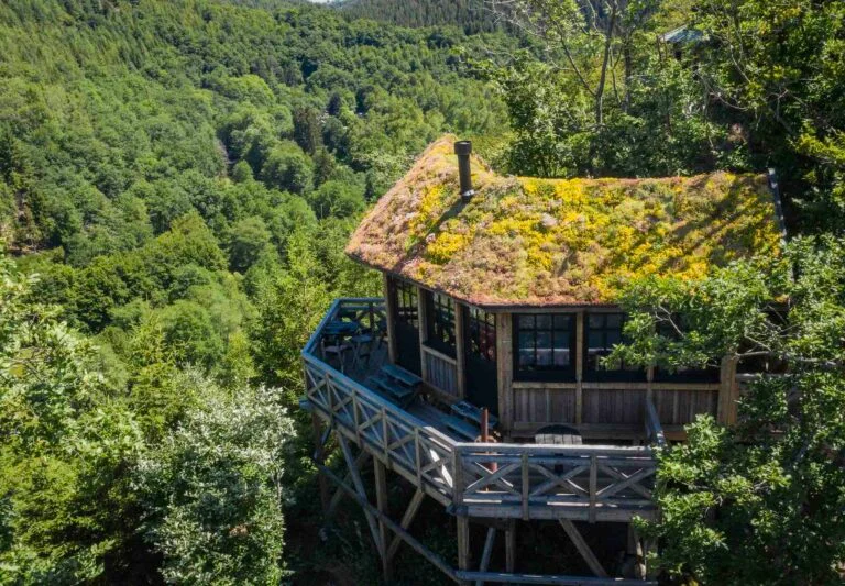 Cabane en bois au toit végétalisé dominant une vallée forestière