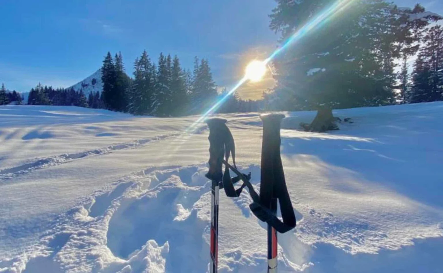 Raquettes et bâtons plantés dans la neige au soleil à Châtel