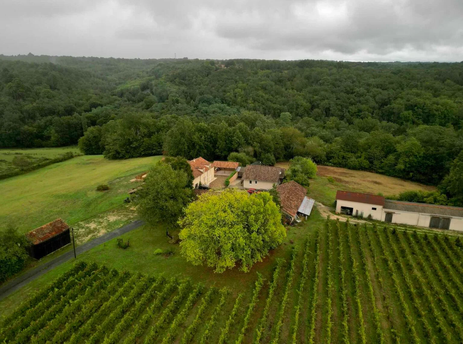 Vue aérienne d’un domaine viticole entouré de bois en Dordogne