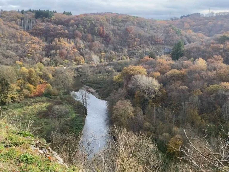 Vallée boisée de la Lesse depuis les hauteurs de Furfooz