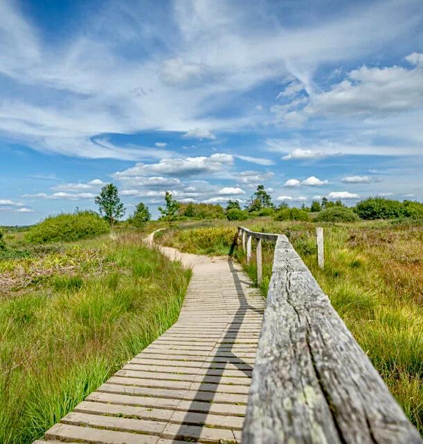 Découverte de la Fagne de Malchamps près du Domaine de Bérinzenne à Spa