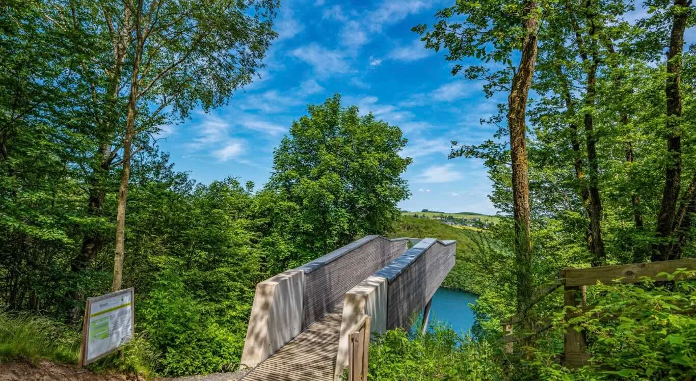 Paysage du nord du Luxembourg près d’Anatura
