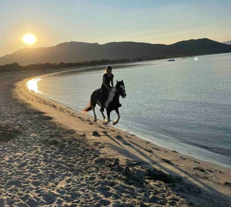 Cavalière longeant une plage de Porto Pollo au coucher du soleil