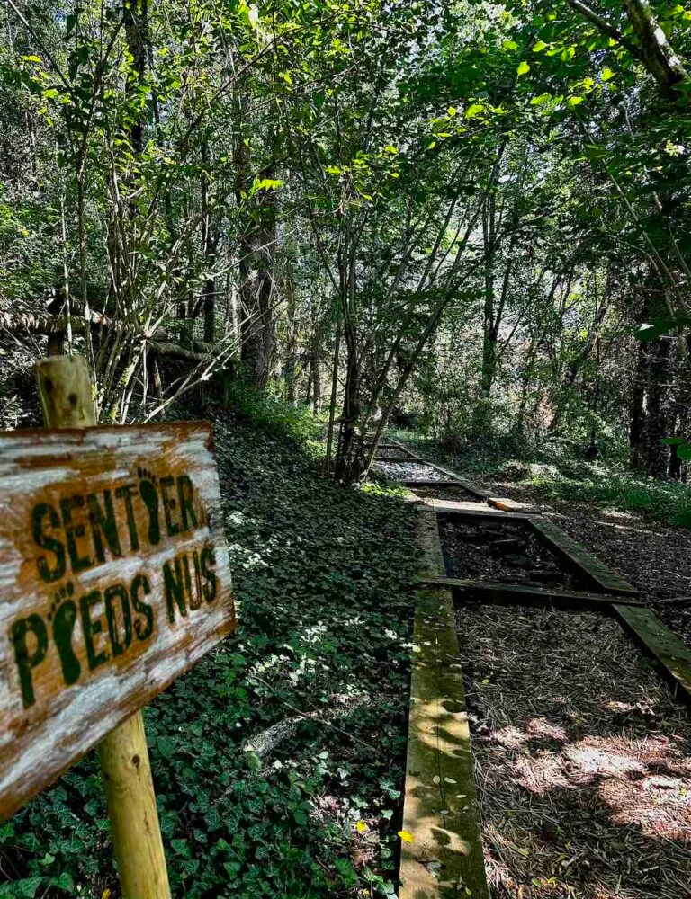 Départ d’un sentier pieds nus dans un sous-bois près de Vergt