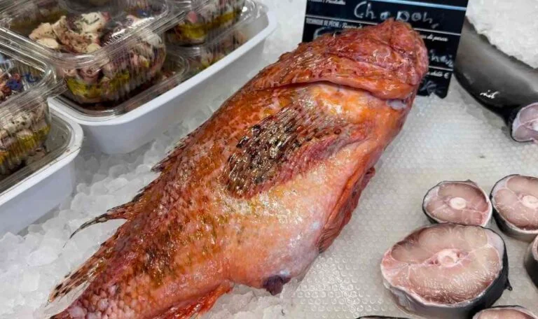 Poisson frais présenté sur un étal du marché d’Ajaccio